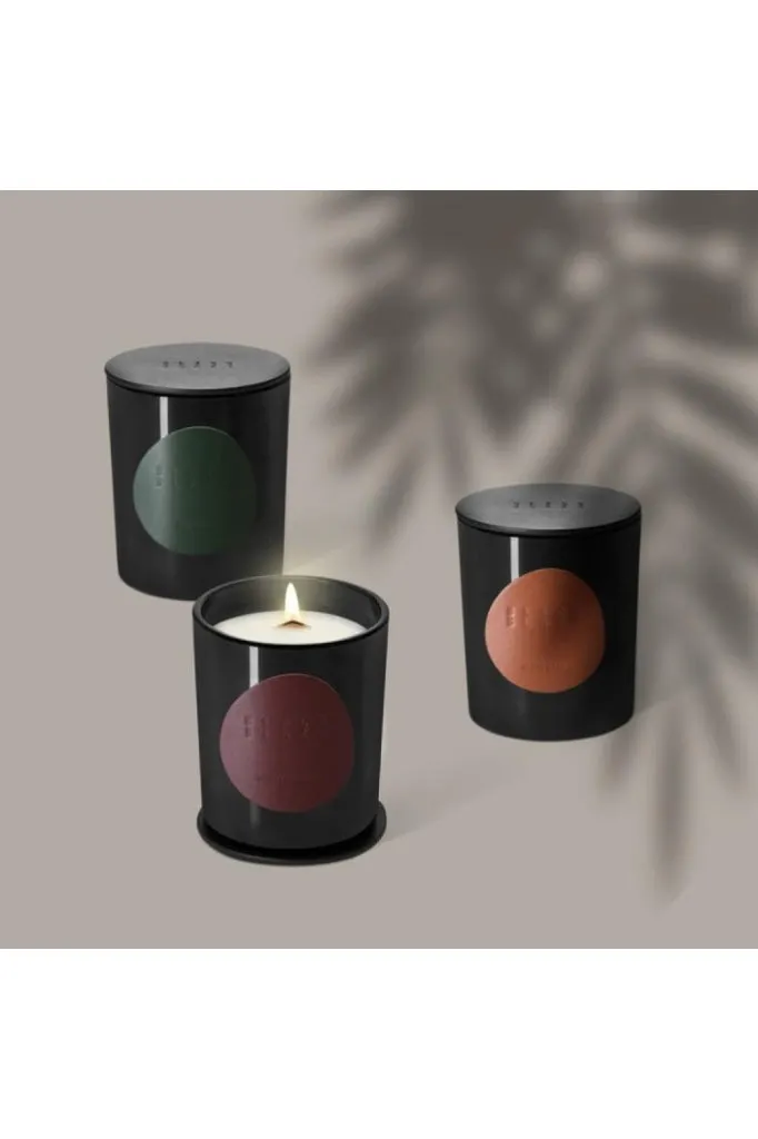 Black Blaze - Candle - Vetiver & Fig