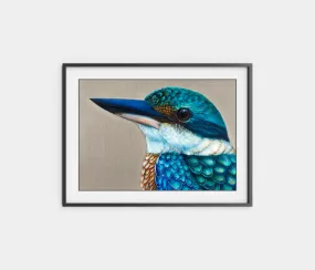 'Reef' The sacred Kingfisher