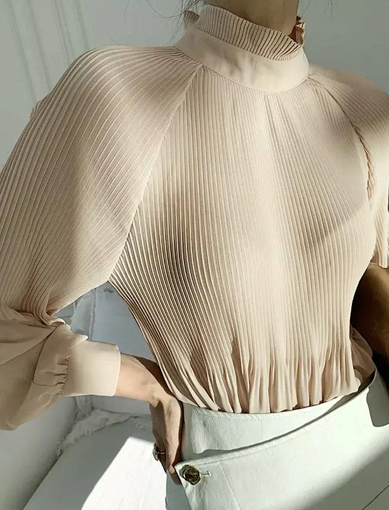 Sheer Long Sleeve Pleated High Neck Top