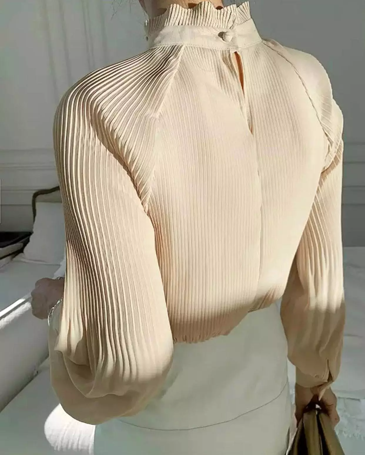 Sheer Long Sleeve Pleated High Neck Top