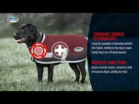 Weatherbeeta Therapy-Tec Dog Coat 